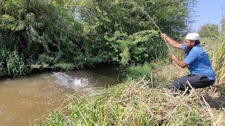 Mastering single Hook Float FishingBest Techniques for the Big catfishes fishing in Villages 