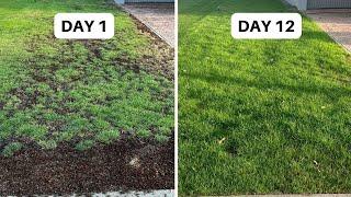 Skip Aerating & Get These Results