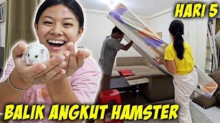 HARI 5 RUMAH BARU  BALIK RUMAH LAMA ANGKUT HAMSTER HEWAN LUCU  Vlog Pindah Rumah  CnX Adventurers