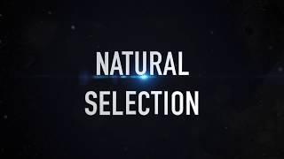 BLACK PROJECT #2  NATURAL SELECTION TRAILER