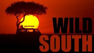 WILD SOUTH  Amazing Nature of Southern Africa Full Documentary