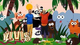 Ylvis - Everybody Farts  Animals Kids Song  discovery+ Norge