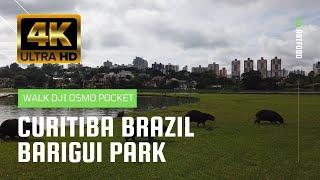 Curitiba Brazil 4K Barigui Park