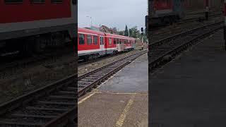 Trenul R 10681 operat de IRC sosește la Oradea de la Aleșd #train #trenuri #railway #tren #irc