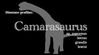 Dinosaur Profile Camarasaurus