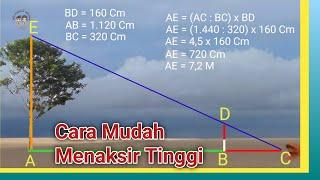 Materi Pramuka Cara Menaksir Tinggi Pohon