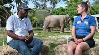 Save the Elephant Day Interview with Lameck Mkburo