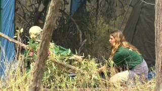 Release of captive bred Regent Honeyeaters