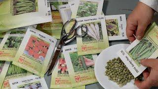 Buying seeds online? Watch this video first