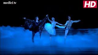 Tchaikovsky Swan Lake choreographed by Nureyev Final Scene