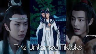 The Untamed Wang Yibo & Xiao Zhan tiktok compilation for @LennyLen