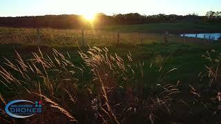 Amber Waves of Grain