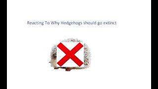 Reacting to why Hedgehogs should go extinct