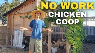 How to Design a Chicken Coop Automatic Food Water Easy to Clean