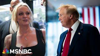 Stormy Daniels ‘wants vindication’ by speaking out after Trump verdict FL state attorney