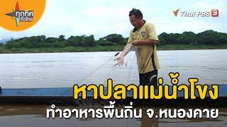 หาปลาแม่น้ำโขงทำอาหารพื้นถิ่น จ.หนองคาย  วิถีทั่วไทย   ทุกทิศทั่วไทย