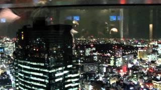 Amazing Tokyo night view from Dentsu building elevator