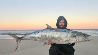 Using  A balloon To Catch Giant fish  Spanish Mackerel