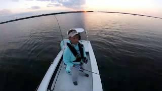 Flounder on a Weedless Swimming Trout Trick