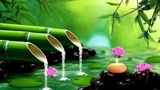 Relaxing music  Sleep Music  Stress relief Music Spa Meditation Yoga sleeping music 