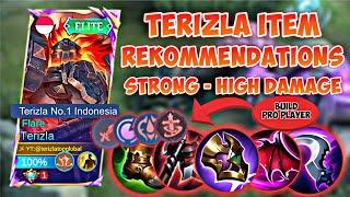 TERIZLA ITEM RECOMMENDATIONS 2024 FOR BEGINNERS  STRONG HIGH DAMAGE 