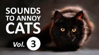10 SOUNDS TO ANNOY CATS  Make your Cat Go Crazy HD Vol. 3
