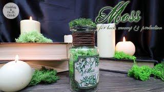 Moss Potion Ingredient  For Luck Money and Protection  Potion Ingredients  DIY Prop Bottle