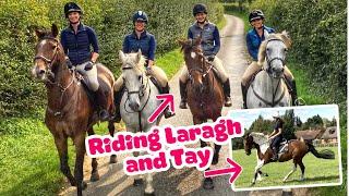 PONY ADVENTURES IN NORFOLK  Riding new horses and living it large with Tina Lucy and Em