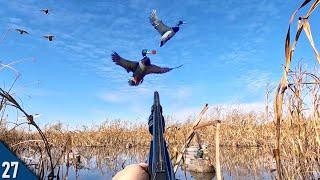 30 MINUTE Mallard LIMIT All Drakes  Decoying DUCKS Into FIVE YARDS