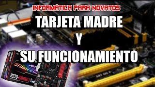 Informática para novatos Tarjeta Madre y su Funcionamiento  Bien explicado