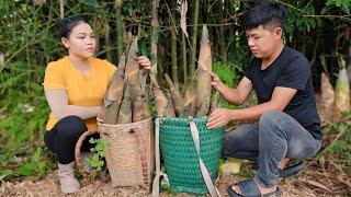 FULL VIDEO Floor with cement - Harvesting chili snails melons bamboo shoots to the market sell