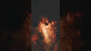 OmegaSwan Nebula from an 11” telescope #m17 #swannebula #omeganebula #interstellar #space