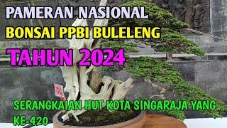 PAMERAN NASIONAL BONSAI DI SINGARAJA BULELENG TAHUN 2024.FULL BONSAI BAGUS BAGUS