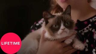 Grumpy Cats Worst Christmas Ever  Lifetime