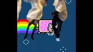 a4 - kids x nyan cat mashup