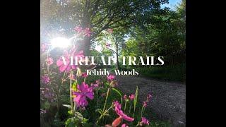 Treadmill Workout Virtual Trail Run   Tehidy woods Cornwall  Trail Running Scenery  4K 