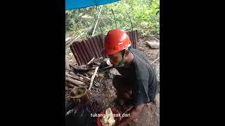 bertahan hidup di dalam hutan dengan cara bercocok tanamdalam 30 hari.