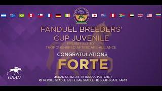 2022 FanDuel Breeders Cup Juvenile Presented by the TAA - Forte