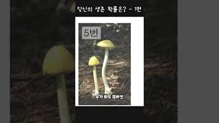 당신의 생존확률은? - 1편