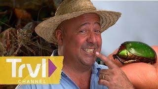 Eating Raw Dancing Shrimp in Thailand  Bizarre Foods with Andrew Zimmern  Travel Channel