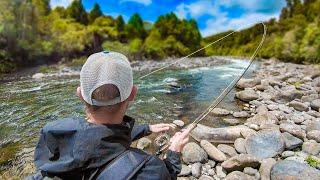 Fly Fishing for Trout in The Best River Ive Fished