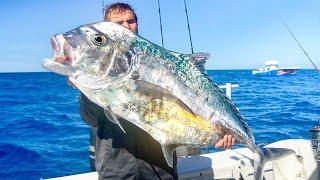 EPIC Offshore Fishing For Monster Fish 45 Miles Off Tampa Bay