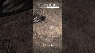 КЕФАЛЬ - 2024