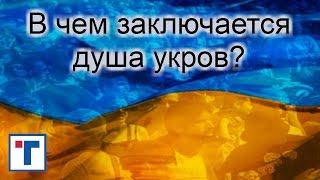 В чем заключается душа укров? ГлавТема