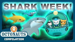 @Octonauts -  SHARK WEEK MARATHON   3 Hours+ Full Episodes  Explore the Ocean