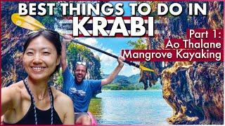 Things To Do In Krabi  Mangrove Forest Kayaking Experience  Thailand Travel Guide