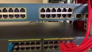 Do you know Basic Network Troubleshooting  Real Devices Troubleshooting  #ciscorouter #ciscoswitch