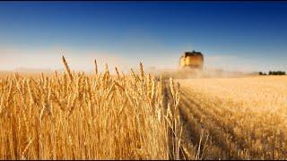 Насколько развито сельское хозяйство в Казахстане? «Рейтинг развития»  Jibek Joly TV