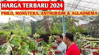 HARGA TERBARU‼️ Philo Monstera Anthurium Syngonium dan Aglonema LEBIH EKONOMIS  416