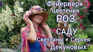 Лучшие растения - компаньоны для РОЗ . Обзор РОЗАРИЯ . Лучшие СОРТА РОЗ.